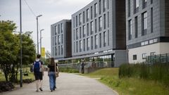 chelmsford campus