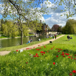 Beautiful green park onto the River Cam Cambridge